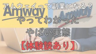 【体験談あり】アムウェイって副業になる？やってわかったやばい実態 
